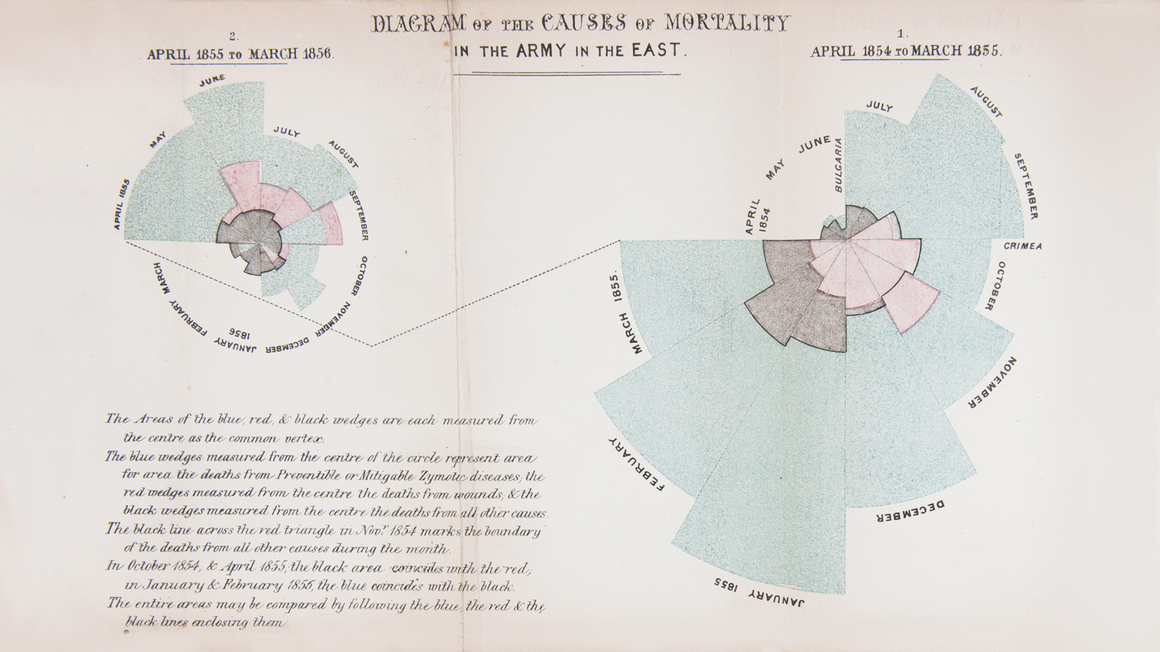 나이팅게일의 혁신적인 장미 도표(Rose Diagram). 각 월별 사망자 수와 사망 원인(질병, 부상, 기타)을 시각적으로 표현한 원형 그래프로, 대부분의 사망이 질병(하늘색)에 의한 것임을 보여줌